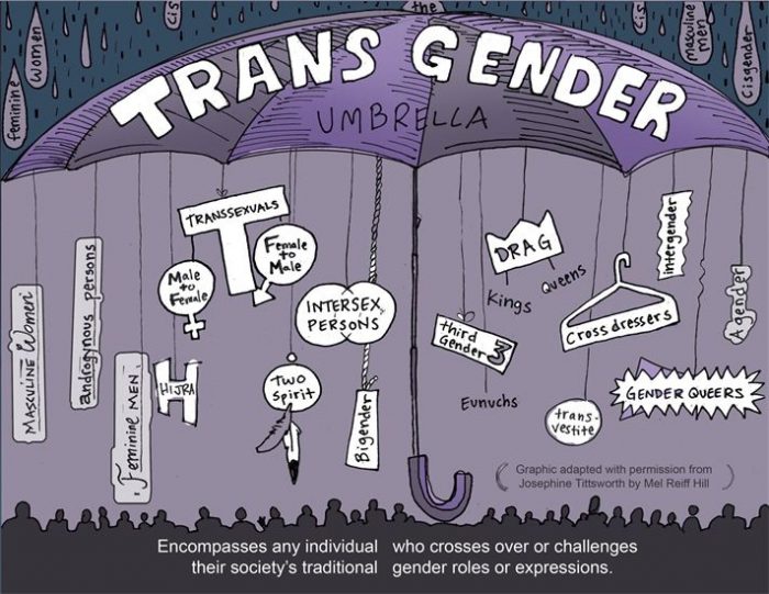 Ask A Gender Therapist: What Does "Transgender" Mean? - Dara Hoffman-Fox