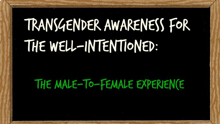 Transgender Awareness for the Well-Intentioned: The Male-to-Female ...